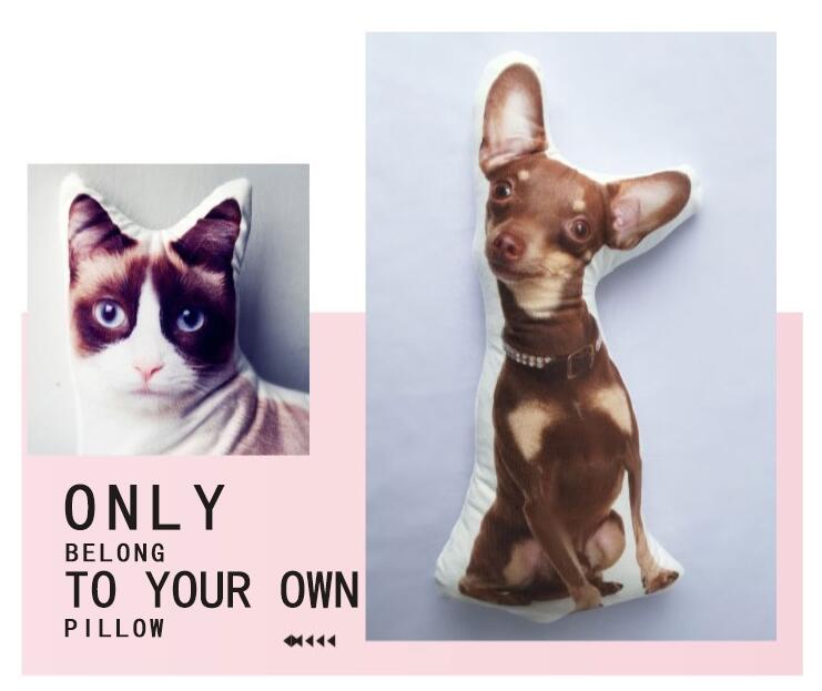 Customize Irregular Pillow Pet Pillow Customize Irregular Pillow Pet Pillow